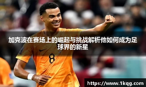 加克波在赛场上的崛起与挑战解析他如何成为足球界的新星